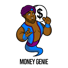 Money genie Full Business Plan