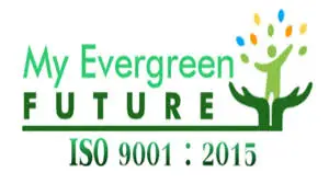 MY EVERY GREEN FUTURE FULL BUSINESS PLAN