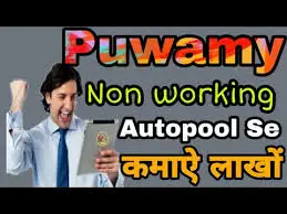 Puwamy Full Business Plan