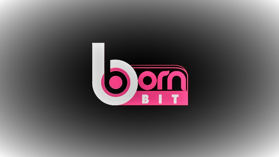 Bornbit Full Business Plan