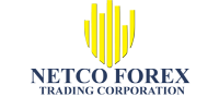 Netco Forex Full Business Plan
