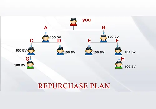 WHAT IS REPURCHASE PLAN IN MLM (ENGLISH)