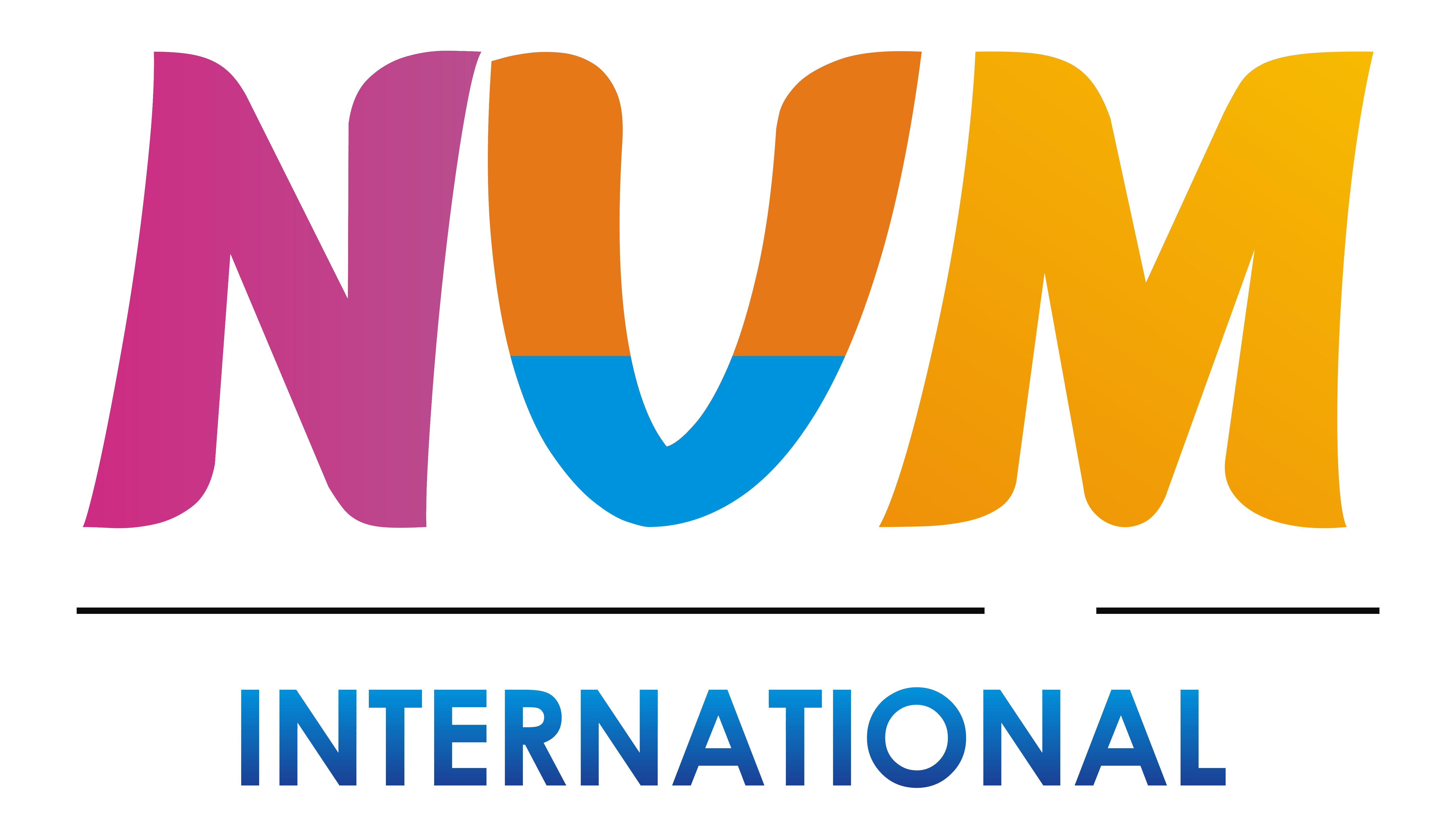 NVM International Full Business Plan