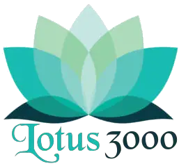 Lotus 3000