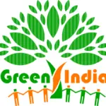 Mi Green India Full Business Plan