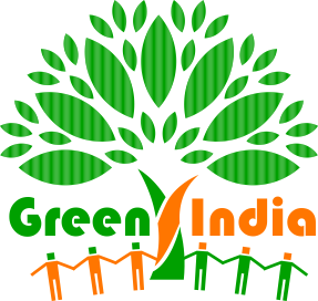 Mi Green India