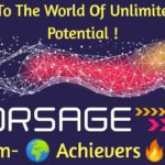 Forsage 100% decentralized project