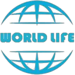 World Life Marketing Full Business Plan