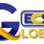 ECS GLOBAL FULL BUSINESS PLAN