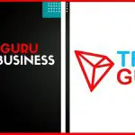 Tron Guru Full Business Plan