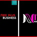 Nine Matrix Plus Full Business Plan