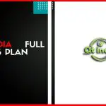 QT India Full Business Plan
