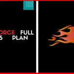 Bull Force Full Business Plan