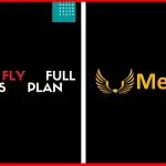 Meta Fly Full Business Plan