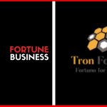 Tron Fortune Full Business Plan