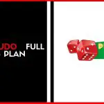 Play Ludo Full Business Plan