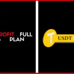 USDT Profit  Full Business Plan