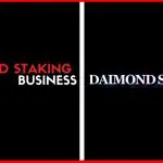 Diamond Staking Full Business Plan