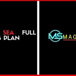 Magic Sea Full Business Plan