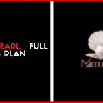 Meta Pearl Full Business Plan