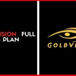 Gold Vision Full Business Plan