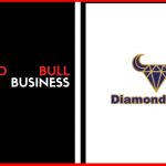 Diamond Bull Full Business Plan