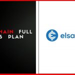 Elsa Chain Full Business Plan