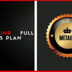 Meta INR Full Business Plan