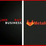 Meta Link Pay Full Business Plan