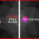 Pink Moon Vision